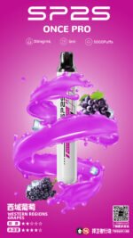 SP2S 5000口抛棄式/一次性電子煙