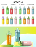 HEBAT喜貝15000口拋棄式